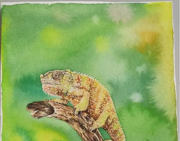 Jaký je rozdíl mezi barvou gouache, olejovou barvou, akrylovou barvou a akvarel?